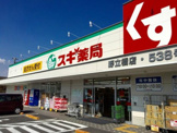 スギ薬局 野立橋店