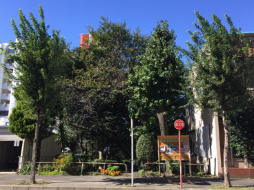 松重橋街園の画像1