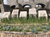 戸田川緑地