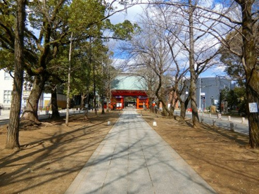 葛飾八幡宮の画像3
