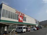 スギ薬局向島店