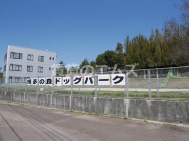 博多の森ドッグパークの画像1
