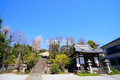 蓮勝寺の画像1
