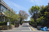 蟹江町立学戸小学校