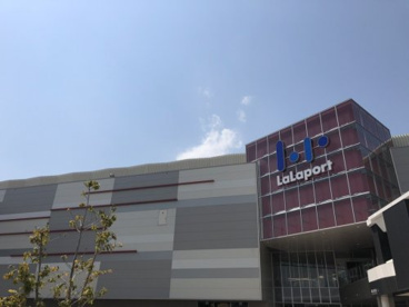 眼鏡市場 ららぽーと名古屋みなとアクルス店の画像1