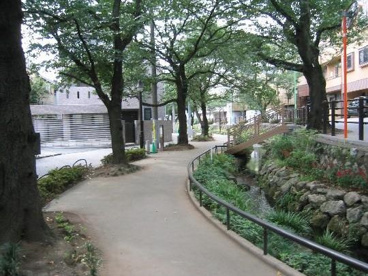 北沢川緑道の画像2