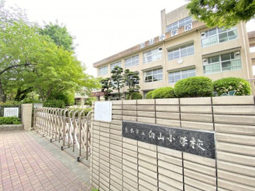 熊本市立白山小学校の画像1