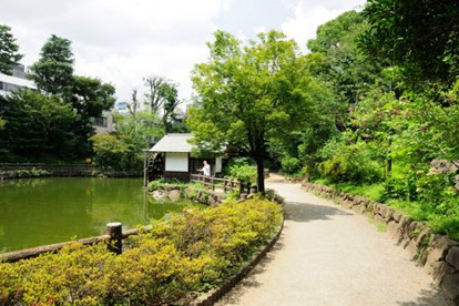 渋谷区立鍋島松濤公園の画像1