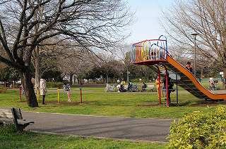 善福寺北緑地の画像1