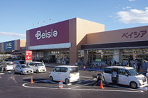 Beisia(ベイシア) 新座店