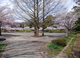 港南台北公園