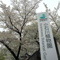 東京大学大学院理学系研究科附属植物園(小石川植物園)