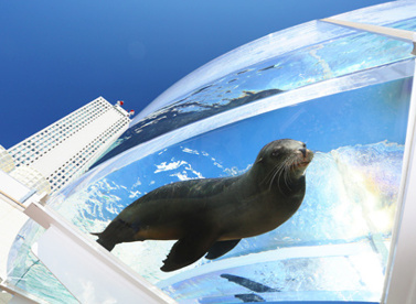 サンシャイン水族館の画像2