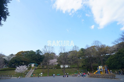 神の木公園の画像1