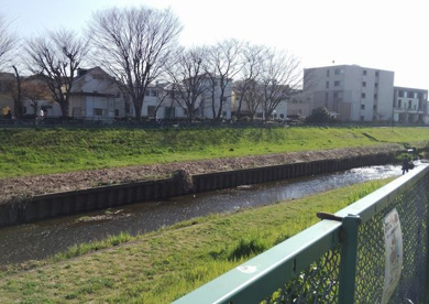 野寺公園の画像4