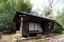 公園 北烏山九丁目屋敷林