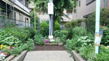 公園 北烏山やぶこうじ公園