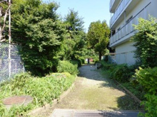 北烏山ほととぎす公園
