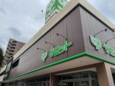 サミット 野沢龍雲寺店の画像1