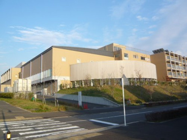 川崎市立はるひ野中学校の画像1