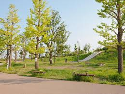二子玉川公園の画像1