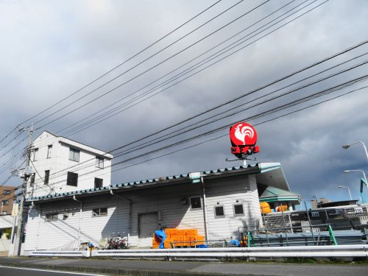 コメリハード＆グリーン宇都宮山本店の画像2