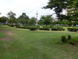 高蔵公園児童野球場