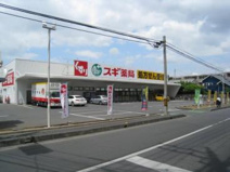 ドラッグスギ　大宮植竹店