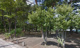 西部公園の画像