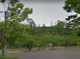 大槻公園の画像