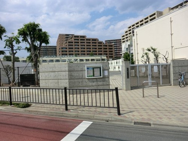 世田谷区立塚戸幼稚園の画像1