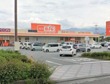 ザ・ビッグ 甲府住吉店