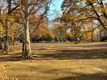 千代田公園の画像1