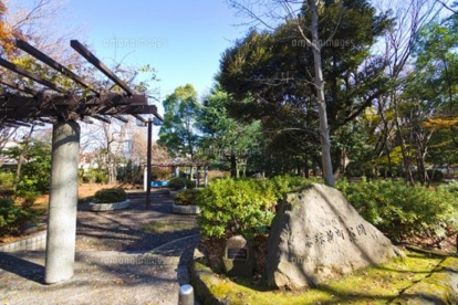 赤塚新町公園の画像1
