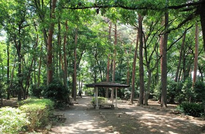 駒場緑地の画像1