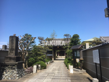 浄蓮寺の画像1