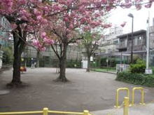 新宿区立榎町公園