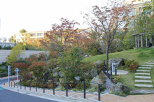 御殿山の丘公園