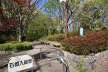 石橋入緑地