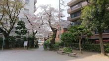 公園 南原公園