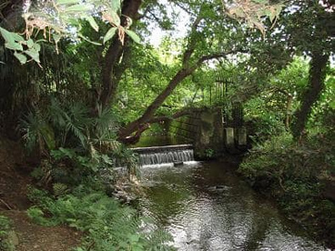 向山緑地公園の画像1