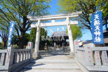 天満天神社の画像1