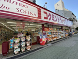 コクミンドラッグ 大和田店