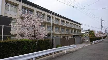 奈良市立済美小学校の画像1