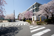 洛星中学・高等学校