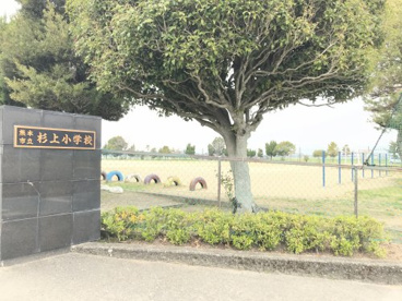 熊本市立杉上小学校の画像1