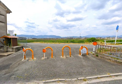 桂川 堤防の画像1