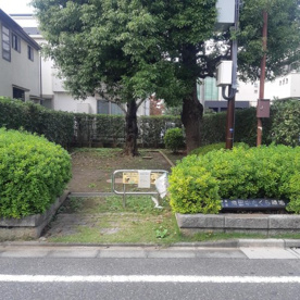 南田中さくら緑地の画像1