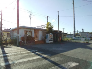 日向の画像1