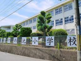 あやめ池小学校